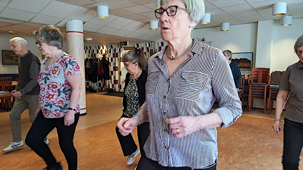 PRO Björkskatan samlas några gånger per år för ett linedancepass.