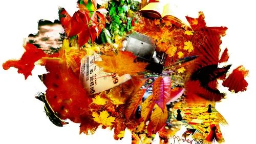 Illustration: ANDERS HELLMAN