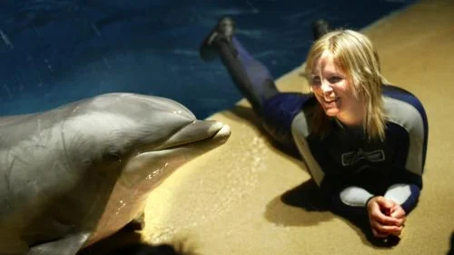 Vem solar sig i glansen av vem? Anja Pärson och delfinen Daphne trivdes i alla fall bra ihop när alpina landslaget hade sin upptaktsträff i Kolmårdens djurpark.