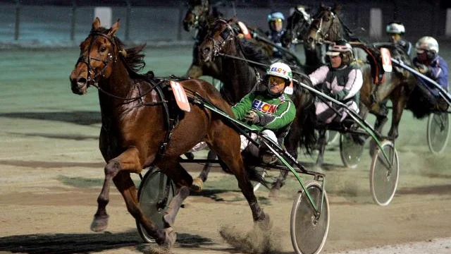 Favoriten Stanley Bar med Åke Svanstedt i sulkyn vann gårdagens första lopp på V65. Stanley Bar gav knappt två gånger pengarna. Bild: JAN CHRISTER PERSSON