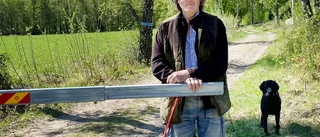 Efter ramslökstrenden – nu har markägaren fått nog: "Rovdrift"