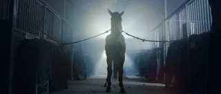Deras film blev en viral succé
