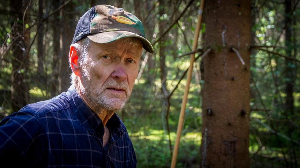 Pensionären Tauno Pikkarainen går ofta längs banan i skogen, där han krattar och röjer för att göra den mer framkomlig.