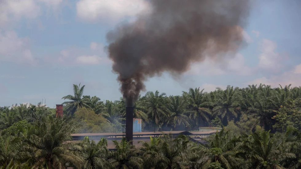Rök från en kvarn som processar palmolja på Sumatra i Indonesien. Bilden har inget med artikeln att göra. Arkivbild.