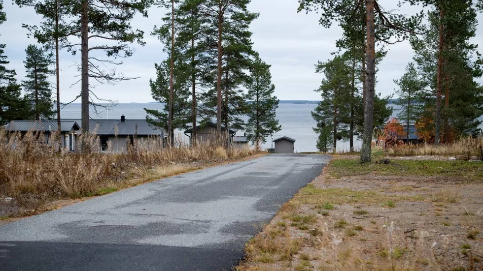 Två tallar på Klubben störde mannen. Då ringbarkade han dem, vilket nu har lett till en dom för skadegörelse. (Arkivbild)