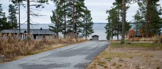Ringbarkade träd – döms för skadegörelse