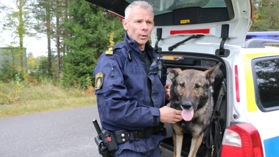 "Vi har det bra förspänt vad gäller eftersök och vi har en bra beredskap", säger hundsamordnaren Thomas Kemi gällande antalet patrullhundar i Norrbotten.
(Arkivbild)