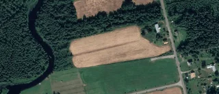 Nya ägare till lantbruksfastighet i Burträsk - prislappen: 600 000 kronor