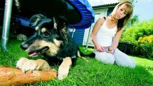 Efter påtryckningar hos polisen fick Johanna Båtman och hennes familj ta hand om hundvalpen, som lämnats i bilen sedan husse gripits av polisen.