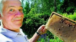 Rolf Felix i Gärtorp har 15 bisamhällen. I dem tror han sig ha över en miljon bin. - Det är ett levande väsen och inget samhälle är likt något annat, säger han. 
Foto: Carolina Häggkvist