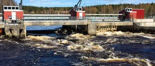 Äldre man drogs in under dammluckor