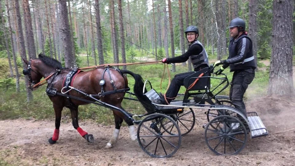 SEGRARE. Morganhästen Hagas Farmer Boy med kusk Veronica Isaksson och groom Alf Renberg på väg mot ett av hinderna