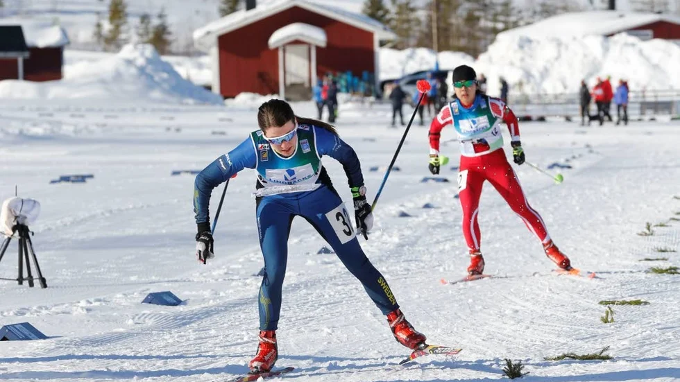 I veckan pågår VM i skidorientering i Piteå.