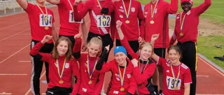 PIF till riksfinalen