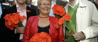 Stackars Alliansen