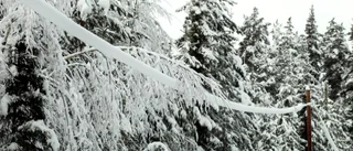 Vattenfall varnar för snötyngda elledningar