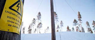 Skoterförare omkom i vajerolycka