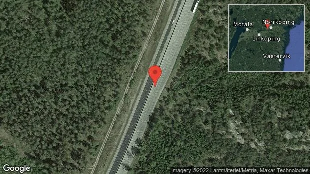 Älg på vägen
