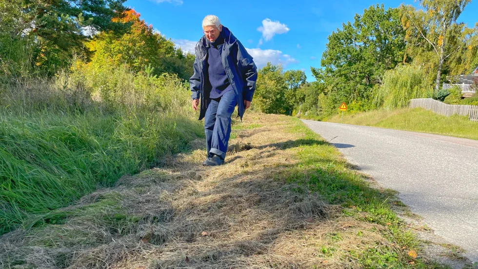 De lite mer buskiga delarna som bildas vid dikena längs vägen fungerar utmärkt som hem för de små insikterna att övernatta i under vintern.