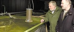 Östgötafiskarnas räddning