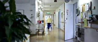 Vart tog Vrinnevilistan vägen?