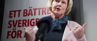 Hon kan få tung ordförandepost