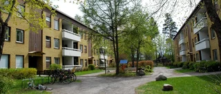 Ny ägare till Dunderbacken