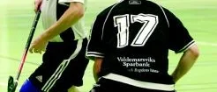 Antvardens seger i underkant