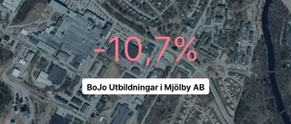 Brant intäktsfall för företaget – ner med 44,6 procent