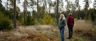 Paret planerar för 100 hus i skogen