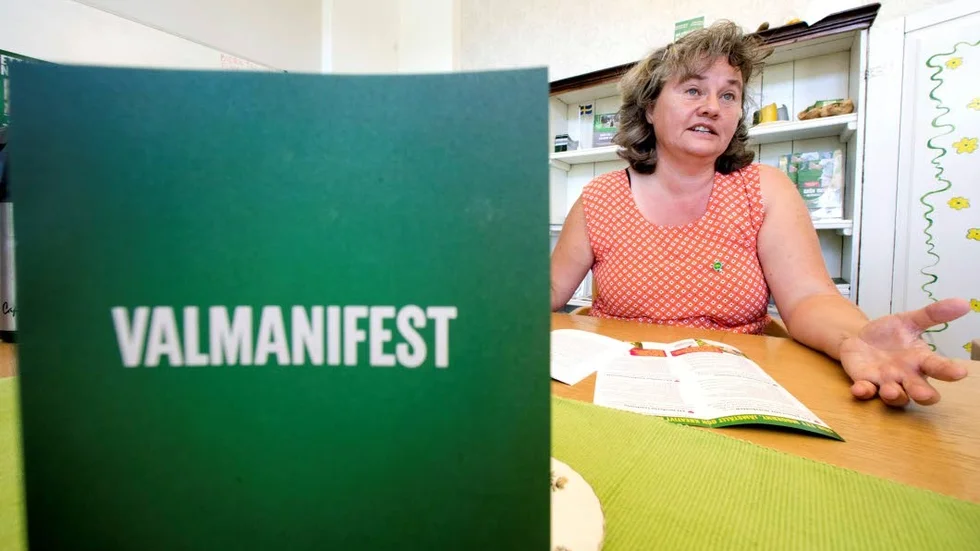 "Färre och färre kvinnor vill fronta", säger MP:s distriktsordförande Annika Eriksson. (Arkivbild)
