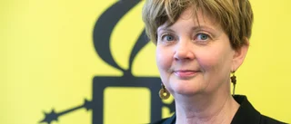 Amnestys sågning: "Kunskapen brister och bedömningar är felaktiga"
