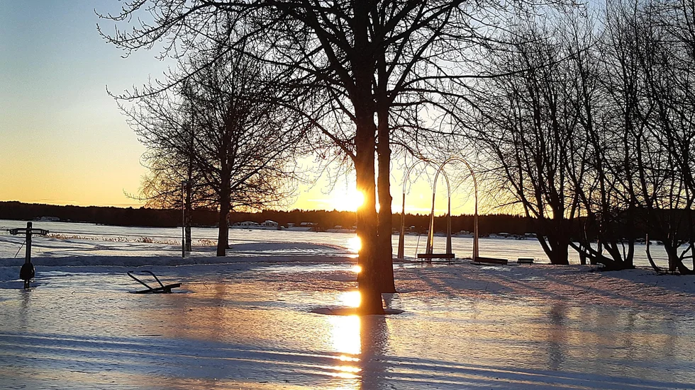 En januaridag vid älvstranden i Öjebyn.