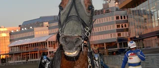 ”En dröm är nu verklighet”