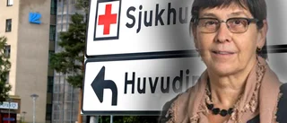 Vi behöver fler läkare och sjuksköterskor - inte länskliniker