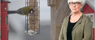 Konsten att skjuta livet framför sig