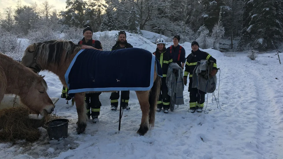 Räddningstjänsten i Gamleby ryckte ut vid lunchtid i lördags. I en dryg timme arbetade de med att föra hästen Sara i säkerhet.