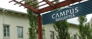 Utbildning bästa framtidssatsningen i Skellefteå