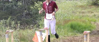 Kareled stortrivdes på fjället