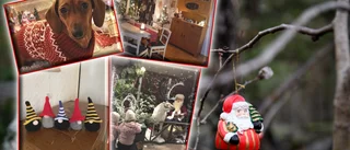 Julafton • Se läsarnas julbilder och läs deras hälsningar här
