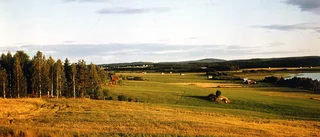 Burträsk - okänt årtal