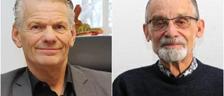 Förslaget: Vadstena kommun ska bli Vadstena stad