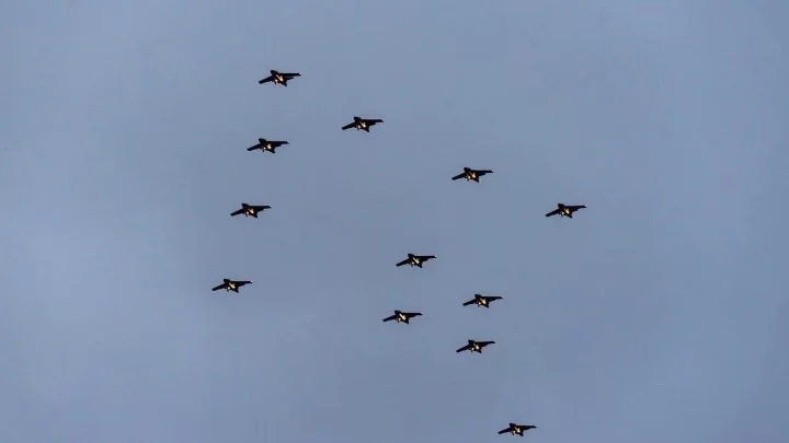 Julgransformationen som Försvarsmakten traditionsenligt flyger över utvalda svenska orter under december.  Bilden är tagen vid fjolårets flygning.