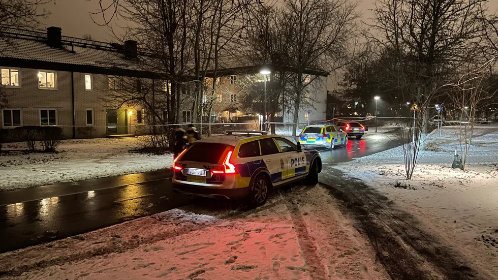 Omkring klockan 17.20 den 29 december sköts en 30-årig man till döds på Storgården i Skäggetorp. 