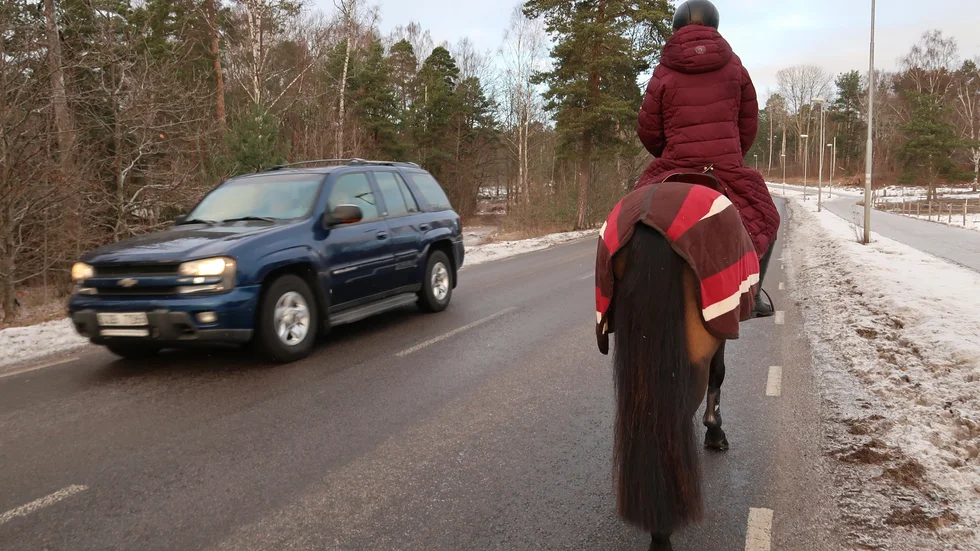 Förslagsställaren önskade ett övergångsställe för hästarna vid Målserum, men kommunen säger nej.