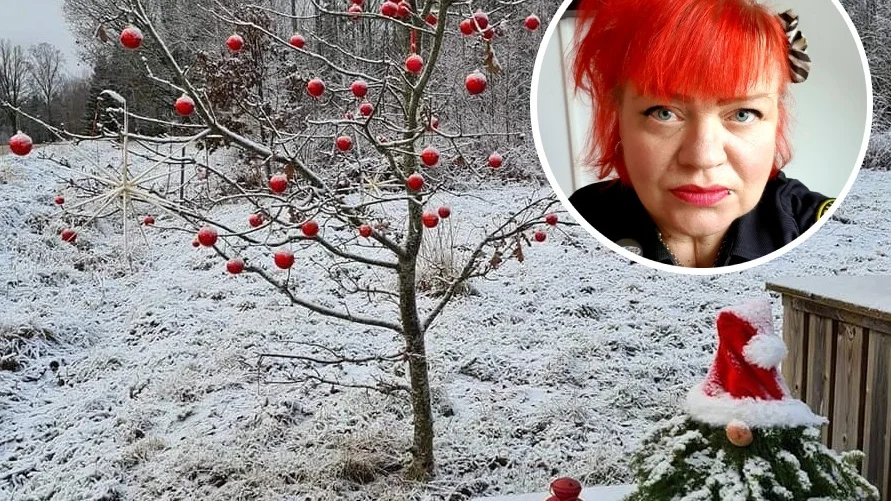 Julpynt hos familjen Hammar från 2020. De hade pyntat sitt ekträd och bjöd in barn att hänga upp sin sista napp till tomten för att bli nappfria till julen. Becca Chaney är initiativtagare till juleljus-resan. 