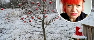 Becca vill visa upp juldekorationerna i Vingåker: "Lite som nya tidens skyltfönstersöndag"