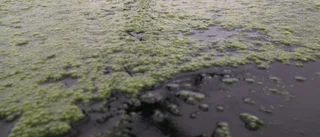 Boliden i nytt projekt för att minska utsläpp av växthusgaser