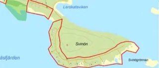 Ska utreda nya tomter vid havet i Byske