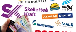 Tio i topp: De omsätter mest i Skellefteå, Norsjö och Malå